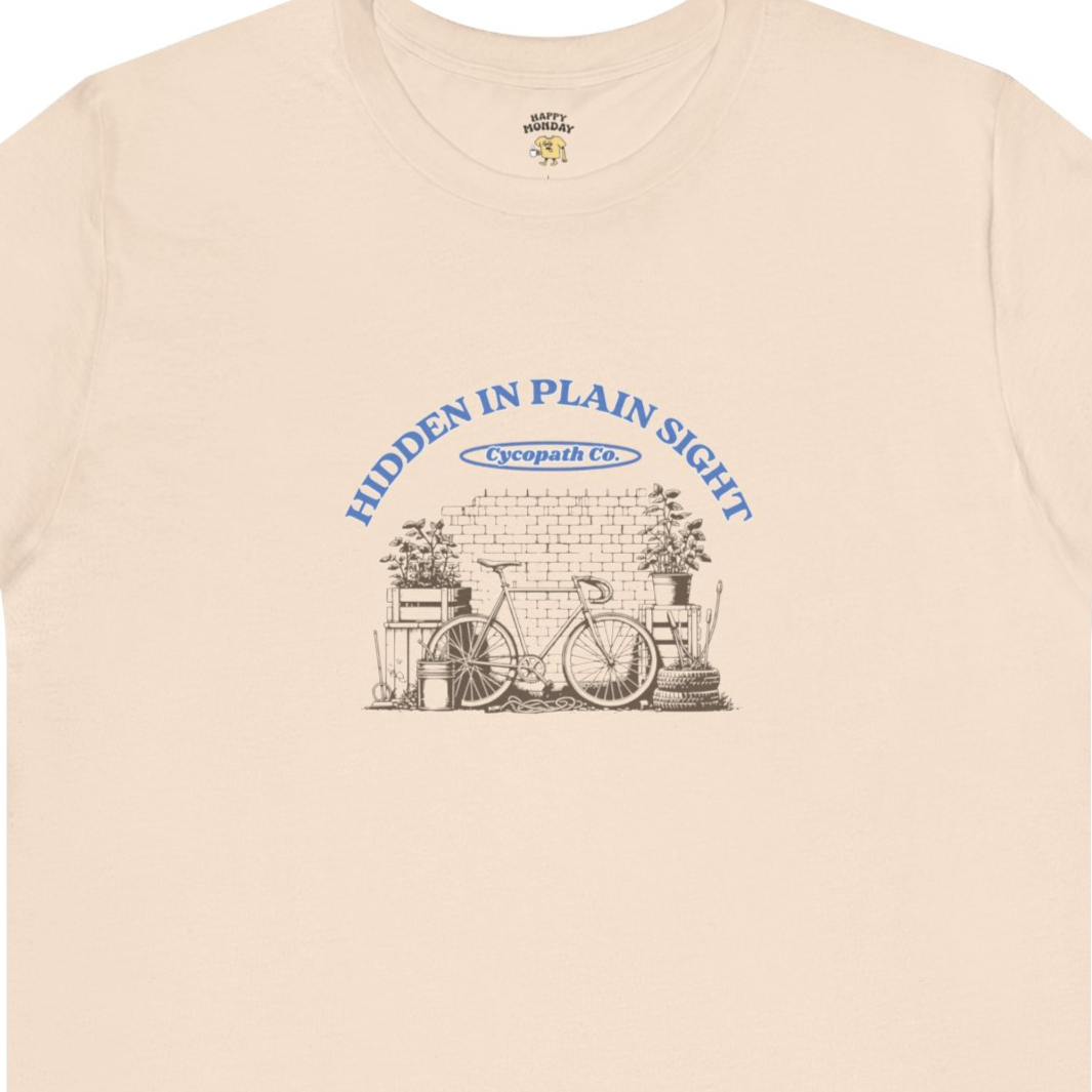 Hidden In Plain Sight